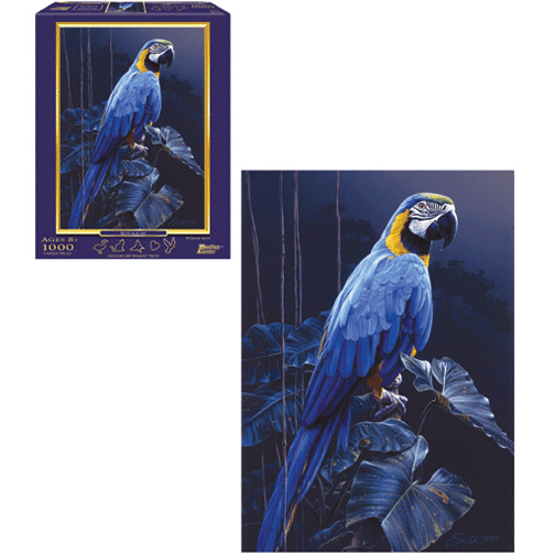 Blue Macaw - 1000 Pieces