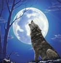 Lone Wolf - 300 Pieces