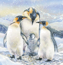 Penguin Family - 500 Pieces